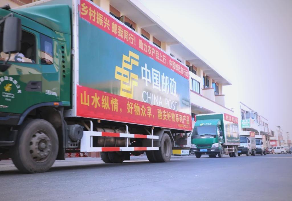 融安金桔上市与电商助力乡村振兴