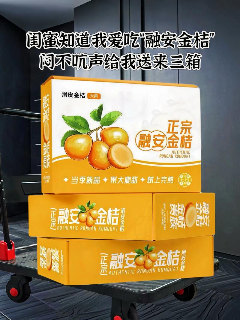 中 国金桔看广西,广西金桔看融安!#金桔 广西融安脆皮金桔上