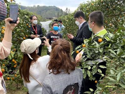 共克时艰!柳州联发暖春公益助农行动